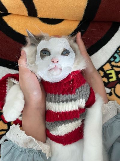 装饰
