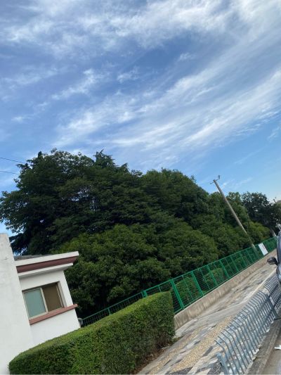 砌墙