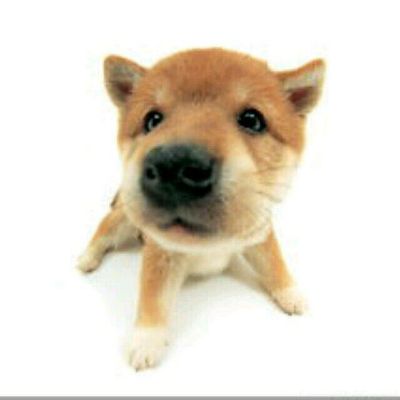 财务