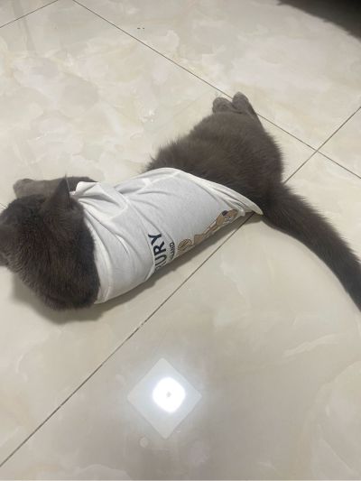 无