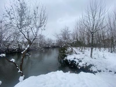 车牌识别车牌识别安装车牌识别安装防静电地板