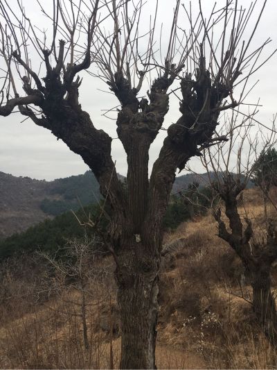 机械维修