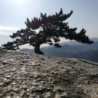 套装门厂家厂家销套装门
