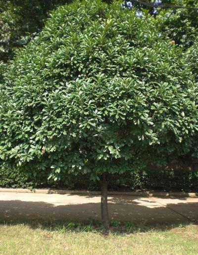 专业安装，维修，保养，搬运各类民用，办公家具，卫浴灯具，门类，窗帘墙布等各类家居置品，承接全国大小工程，家用散件都能两小时内回应。