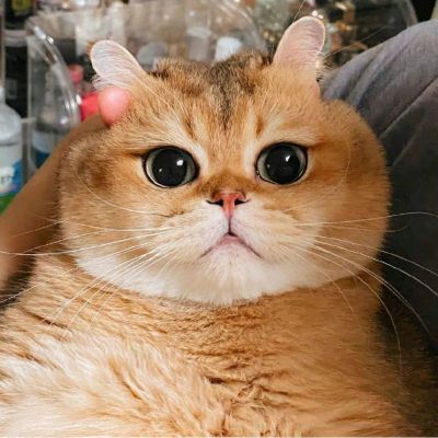 写啥啊要