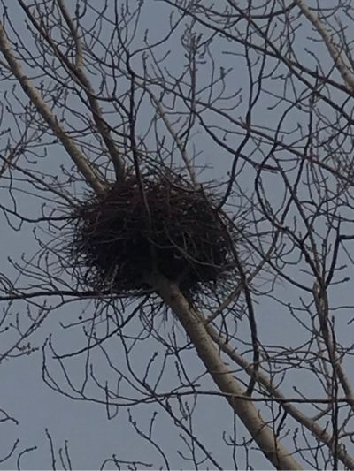 家具组装安装无