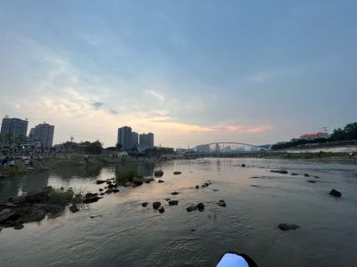 墙体绿化