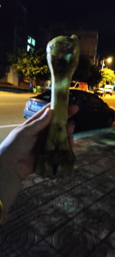 打杂搬运工