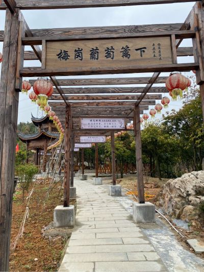 无
