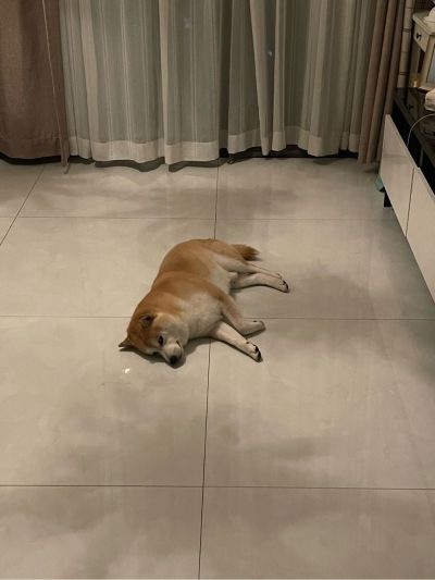 设计师