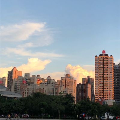 管理