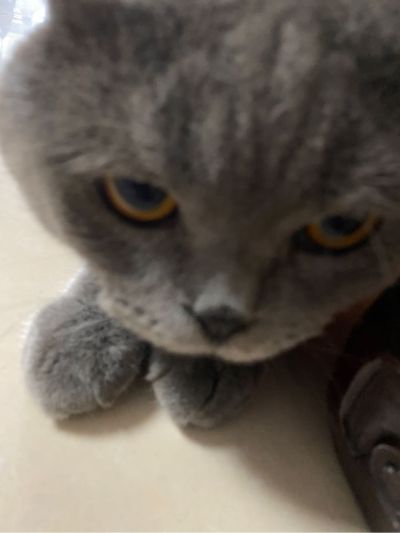 家电清洗