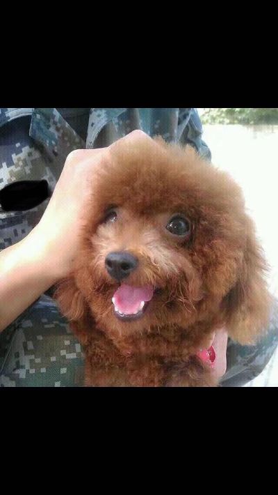 维修补漆