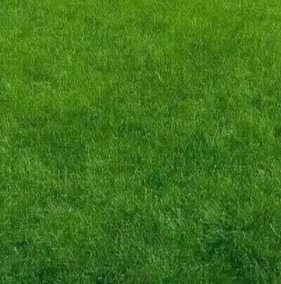 文书处理文件打字文书