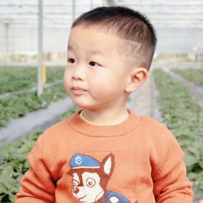 全屋整装