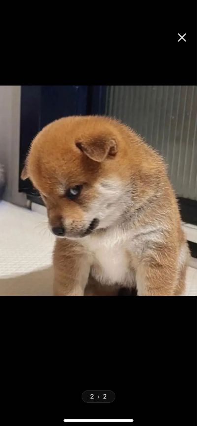 卫浴家电安装家具家电安装