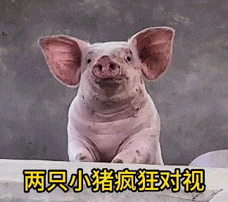 家具