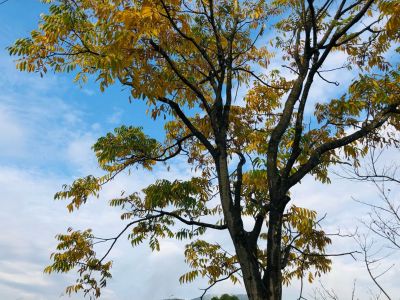 电脑网络打印电脑维修