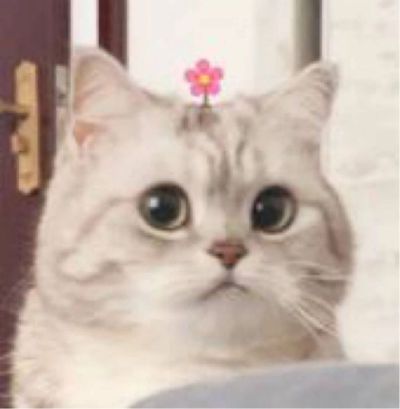 家装
