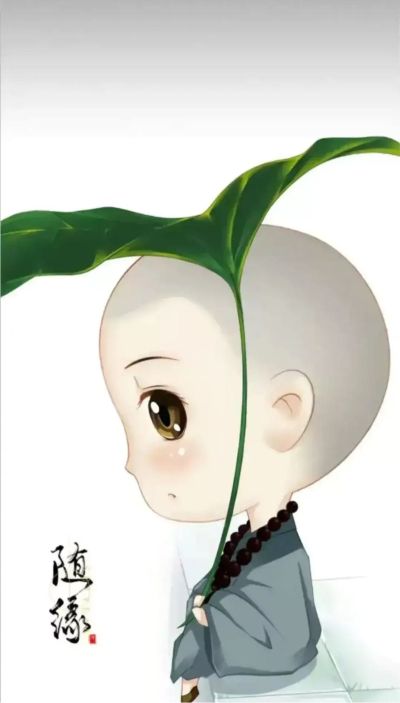 木质美容师
