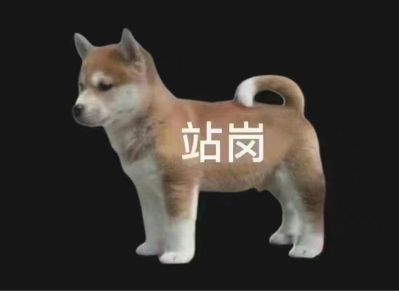 灯具插座安装无