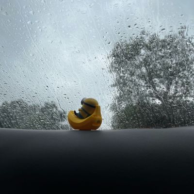 蜂鸟广告