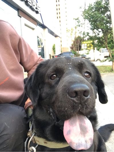 电气技术电气技术