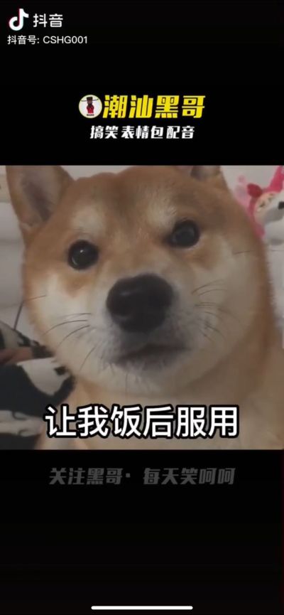 安装工