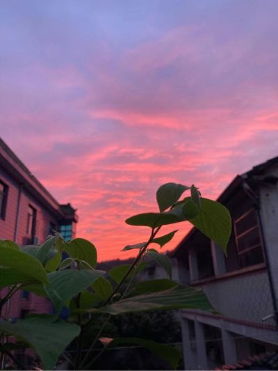 电工安装维修水电安装维修