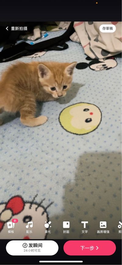装修专业刮家刮家旧家担心