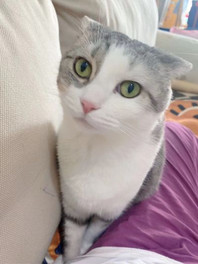 贴脚线修补