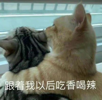 空调维修专业