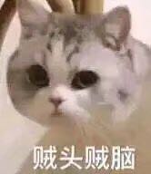 家具修复美容家具翻新改色瓷砖修复家具贴膜