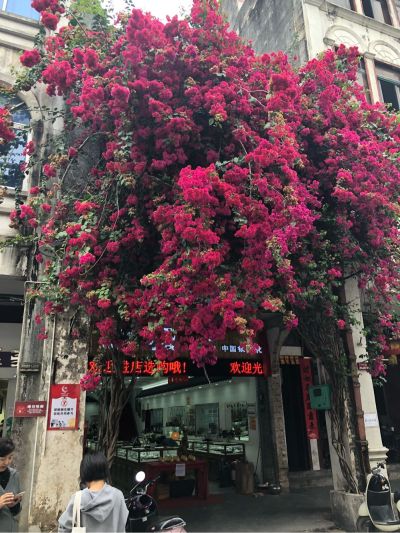 找师傅