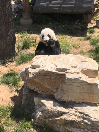 家具安装修漆贴壁纸