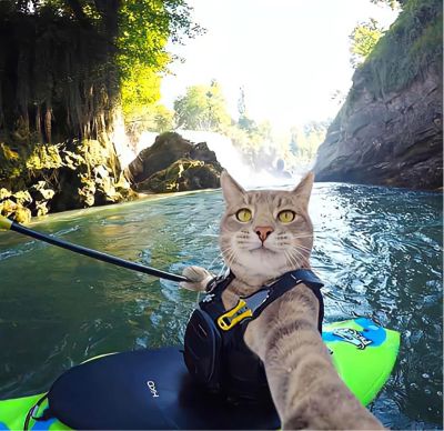 安装家具安装家具配送