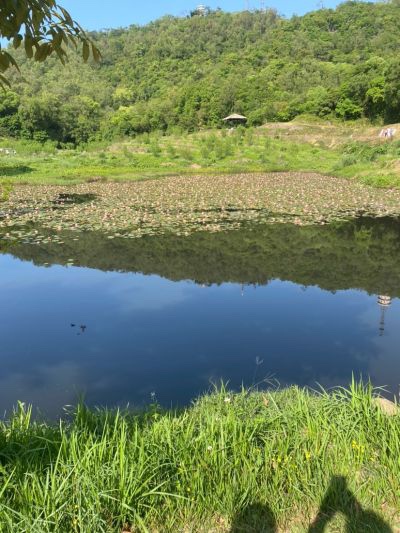 电工按装维修电工专业