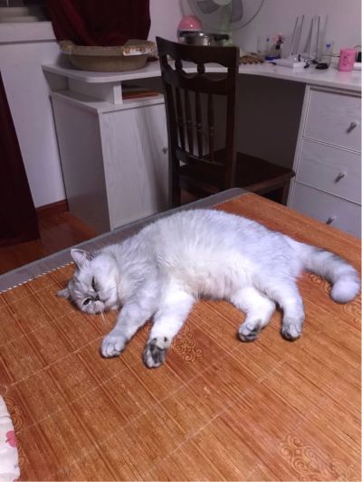 电焊水电