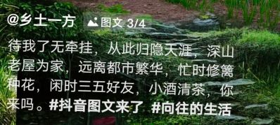 无装修，家具