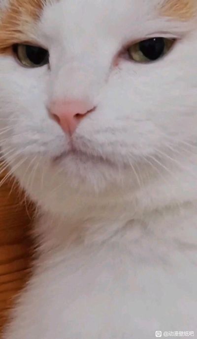 装修