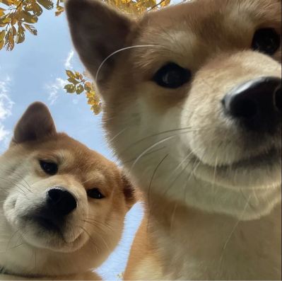 电工