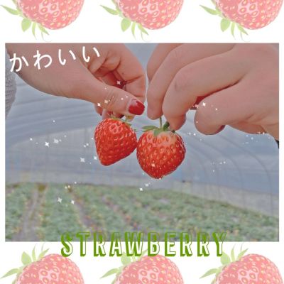 家具维修