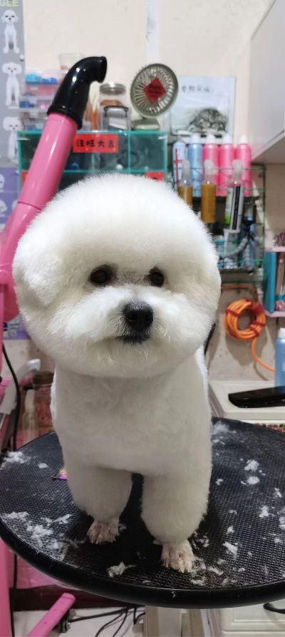 墙面集成吊顶