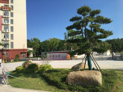 家电清洗美缝