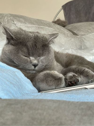 人力资源人力资源咨询