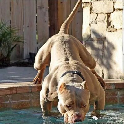 水电维修