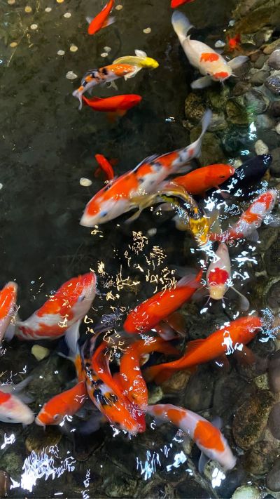 家庭安装维修