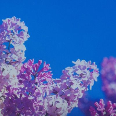 全能装修改造水电消防机电市政工程