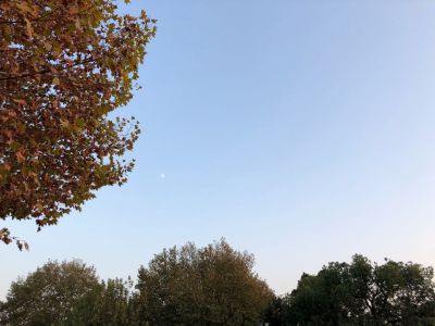 师傅上门搭脚手架和隔音板，预计30套