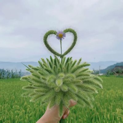 空调暖通热水